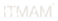 ITMAM Logo